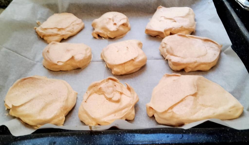 בסיסי פבלובה