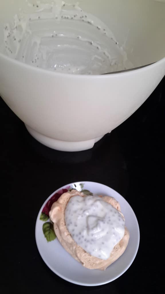 פבלובה בהכנה